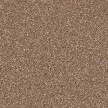 Acorn