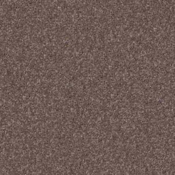 Rustic Taupe