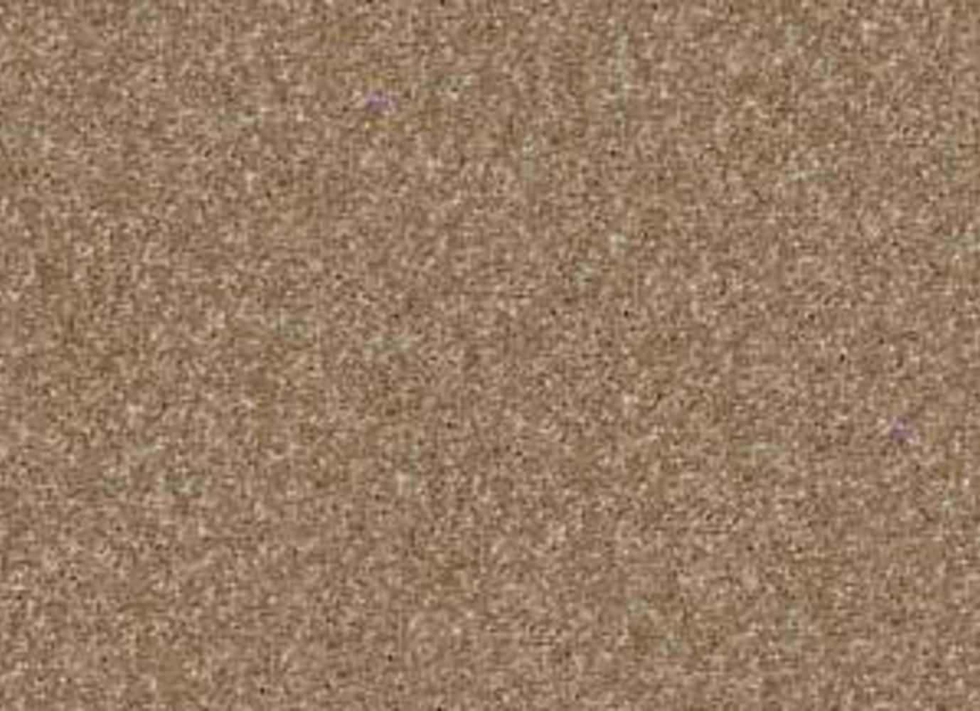 Sweet Life in Bridgewater Tan Carpet