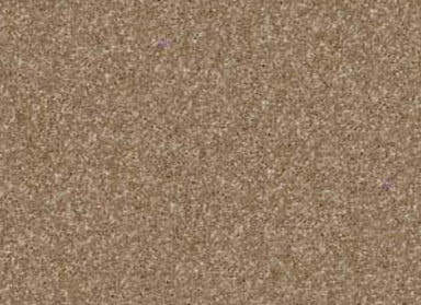 Sweet Life in Bridgewater Tan Carpet