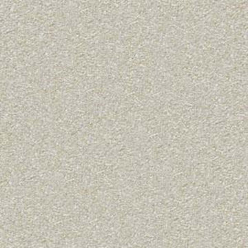 Plaster