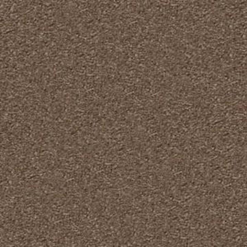 Brushed Suede