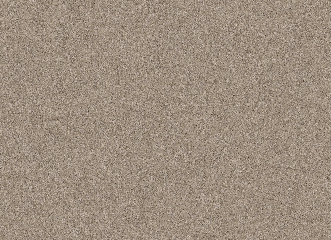 SOURCE II in Fossil Carpet