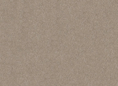 SOURCE II in Fossil Carpet