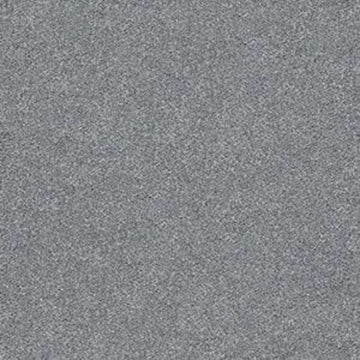 Dolphin Sighting (S)