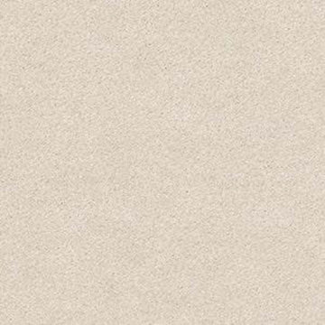 Homemade Ice Cream (S)