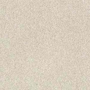 Homemade Ice Cream (T)