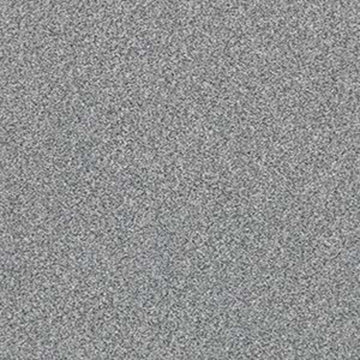 Dolphin Sighting (T)