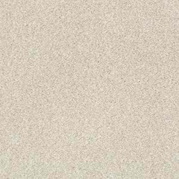 Homemade Ice Cream (T)