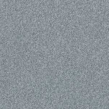 Dolphin Sighting (T)