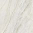 Famed in Iconic 24x24 Tile