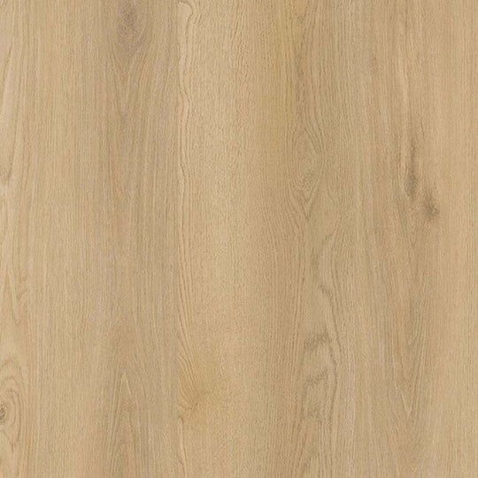 Amber Escape in Finley