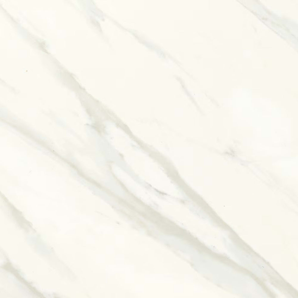 Florentine in Carrara 12x24 Tile