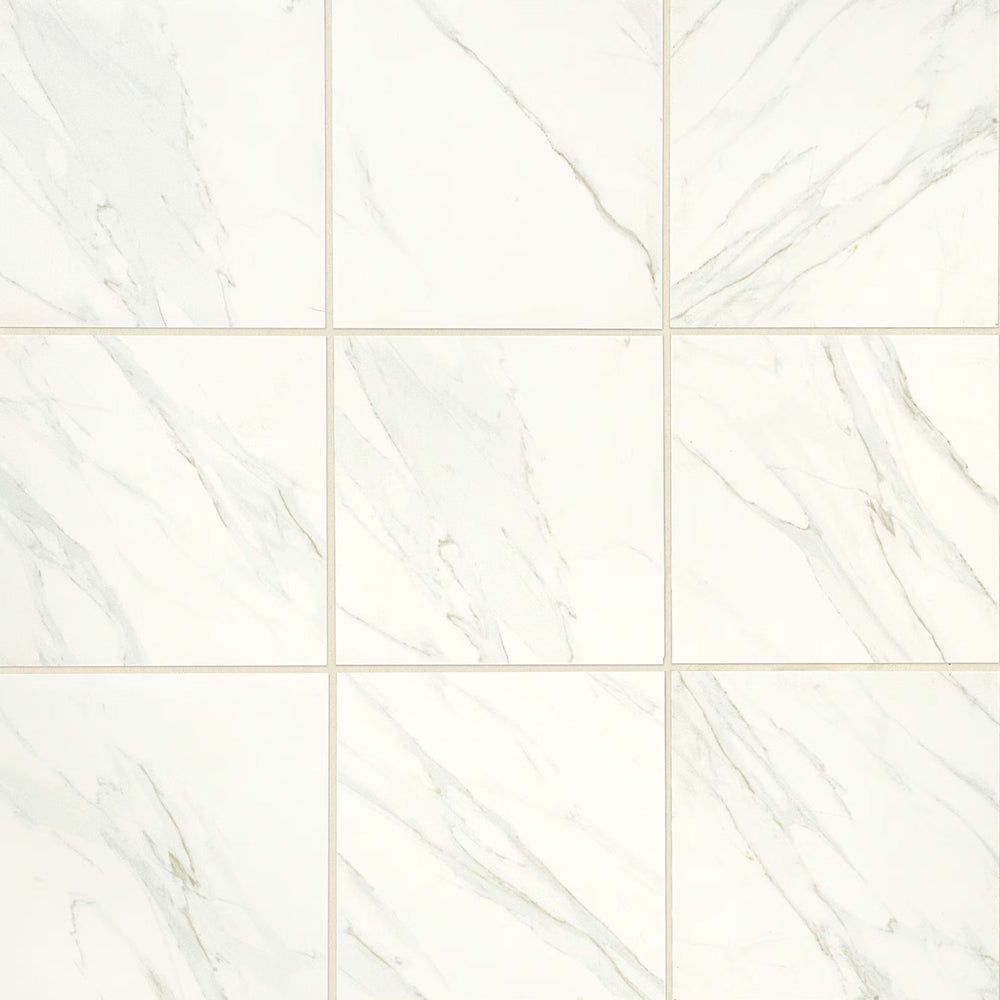 Florentine in Carrara 12x12 Tile