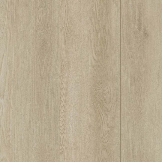 Amber Escape in Foley