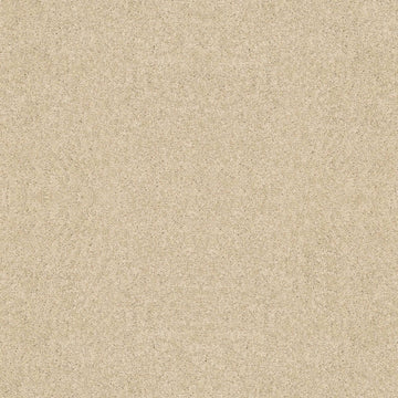 Vanilla Custard