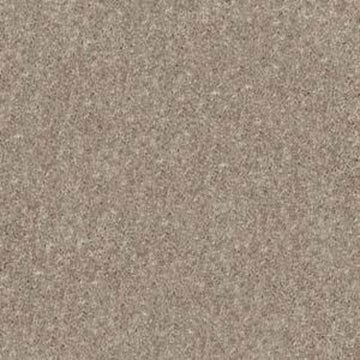 Taupe Mist