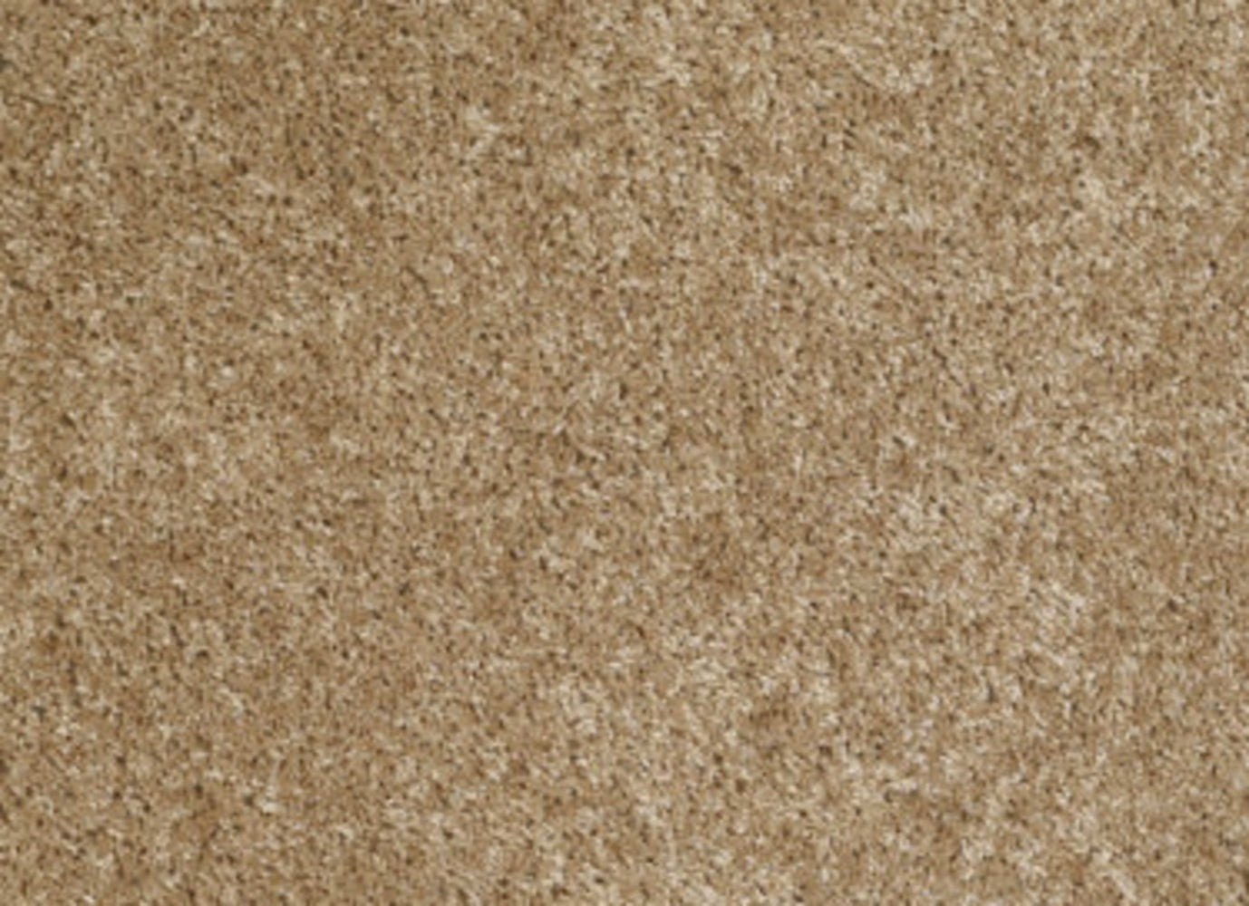 Favorite Choice 12' in Reed Carpet