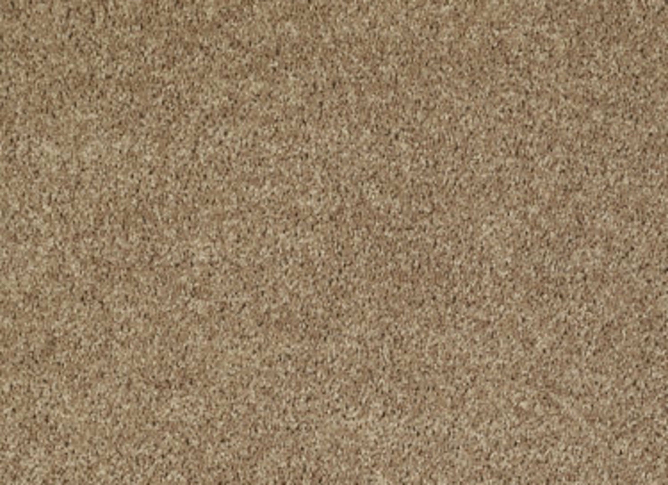 Easy Approve 12' in Golden Echoes Carpet