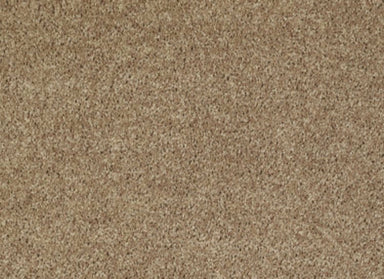 Easy Approve 12' in Golden Echoes Carpet