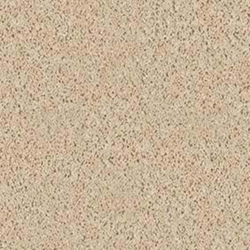 Sandscape