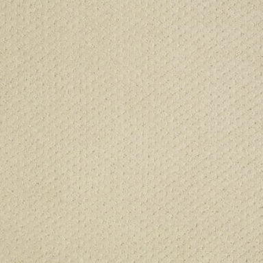Victory Lane in Linen Carpet