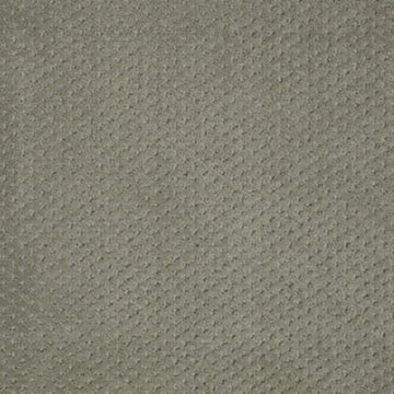 Silver Sage