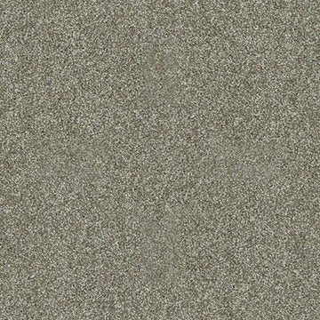Silver Sage
