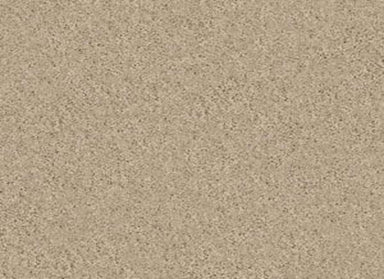 DAWSON MANOR II 15' | Shaw Industries