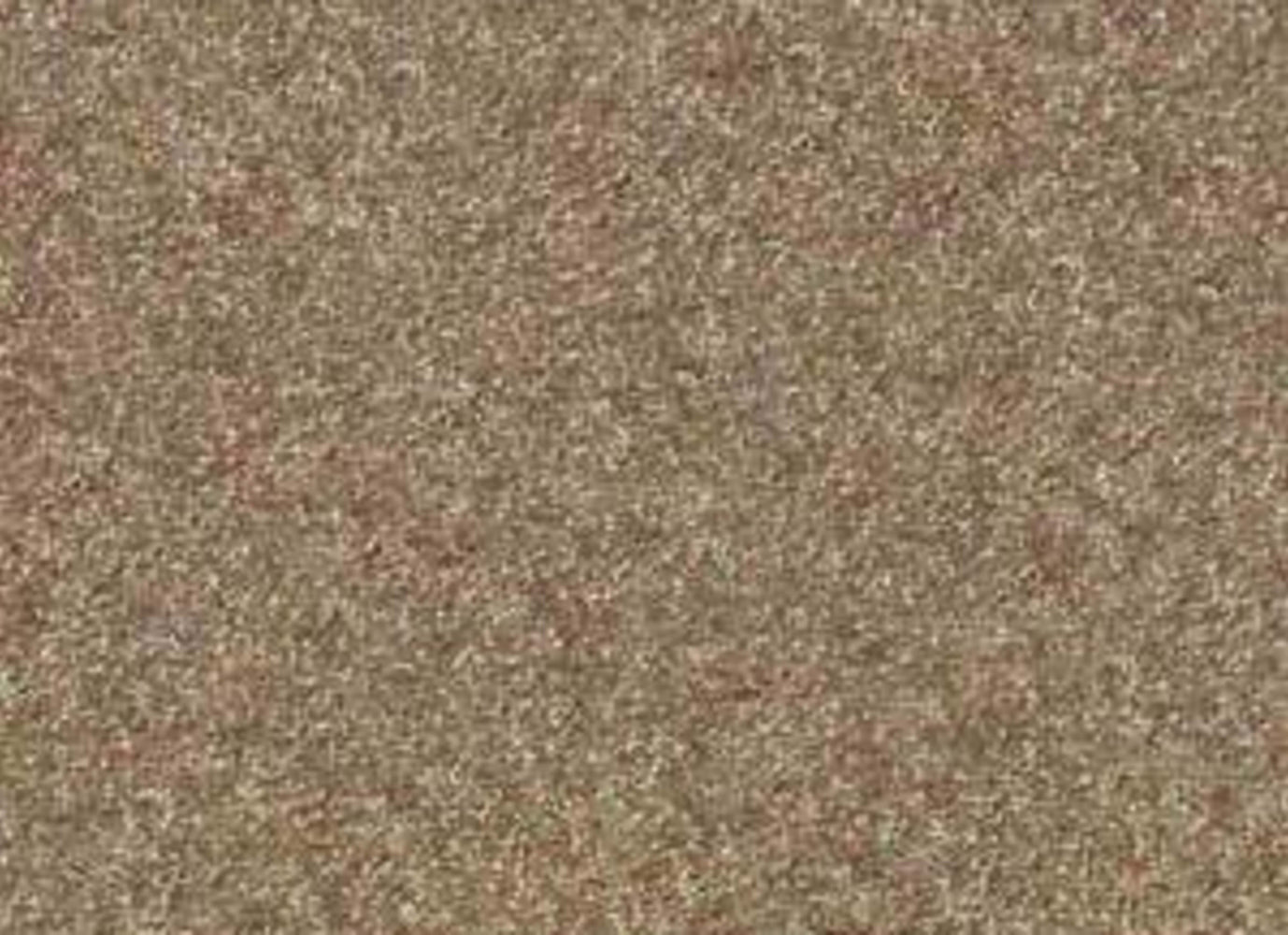 Golden Cove in Bungalow Carpet