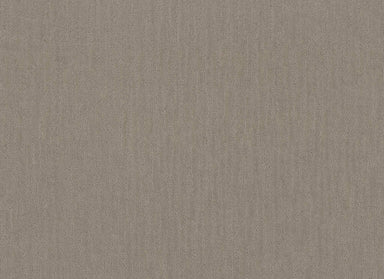 Woodland Grove in Valley Mist Carpet