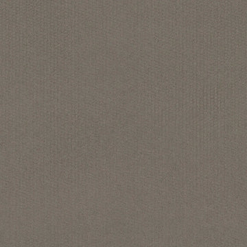 Titanium