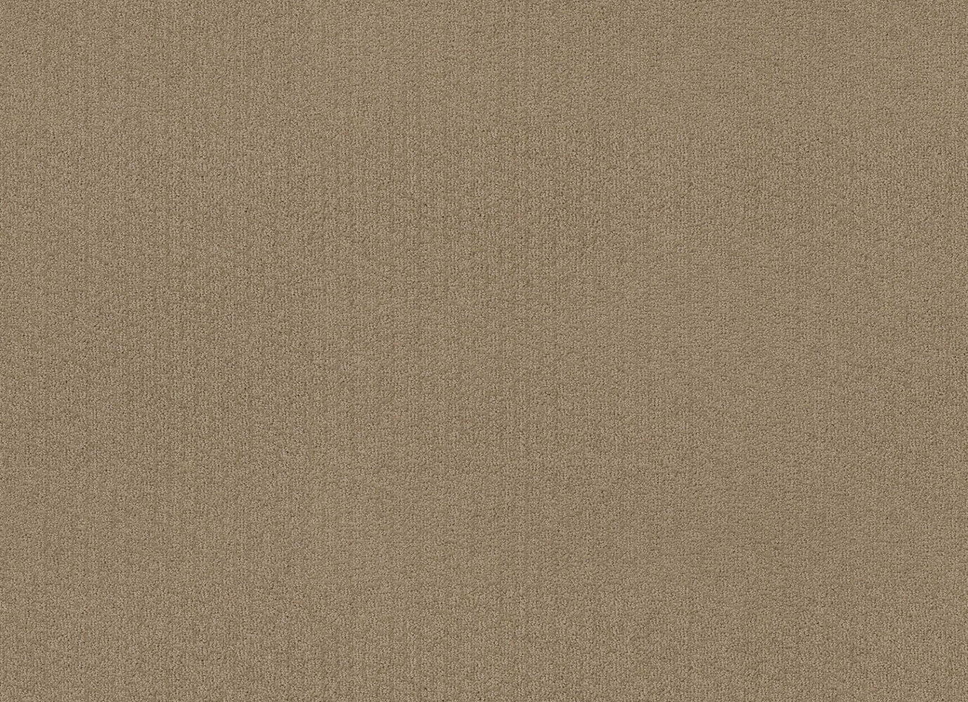 Sterling Springs in Sable Carpet