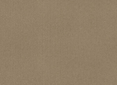 Sterling Springs in Sable Carpet