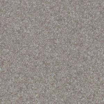 Pewter Solid