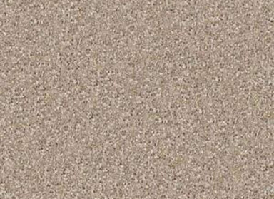 Prestige Point in Wood Bridge Carpet