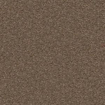 Brushed Suede