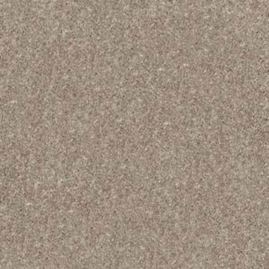 MEADOW VISTA 12' in Taupe Mist Carpet