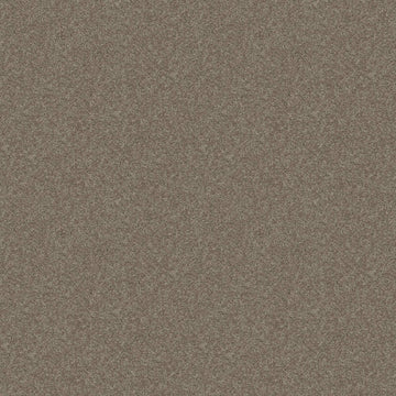 Pebble Path