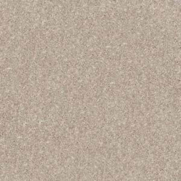 Plaster