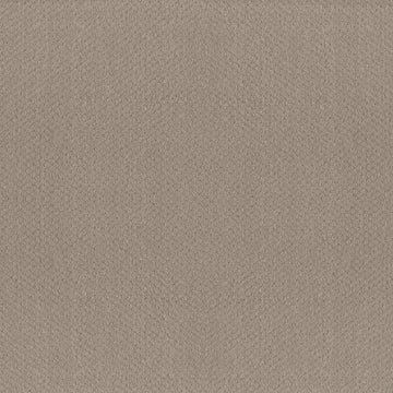 Studio Taupe