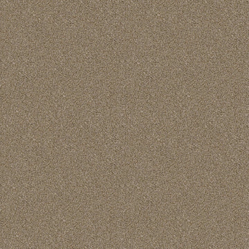 Dried Clay