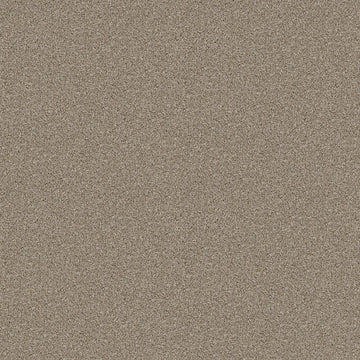 Wheat Field