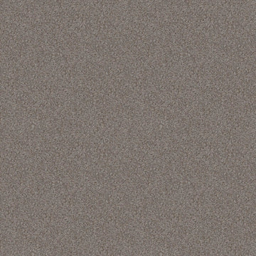 Stainless