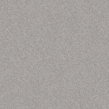 ANCHOR BAY in Great Greige Carpet