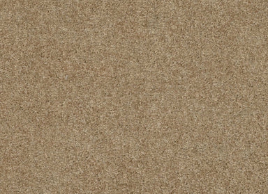 SANTA ROSA WAY in Lighthouse Carpet
