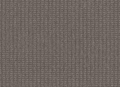 SCENIC VIEW in Deck Carpet