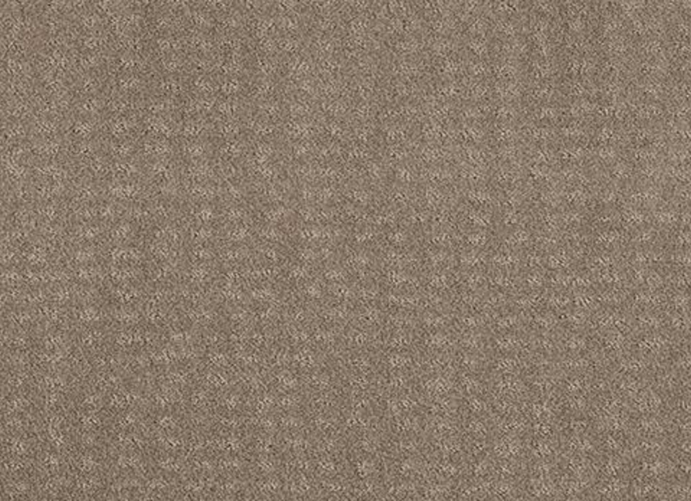 STYLISH FASHION in Desert View Carpet