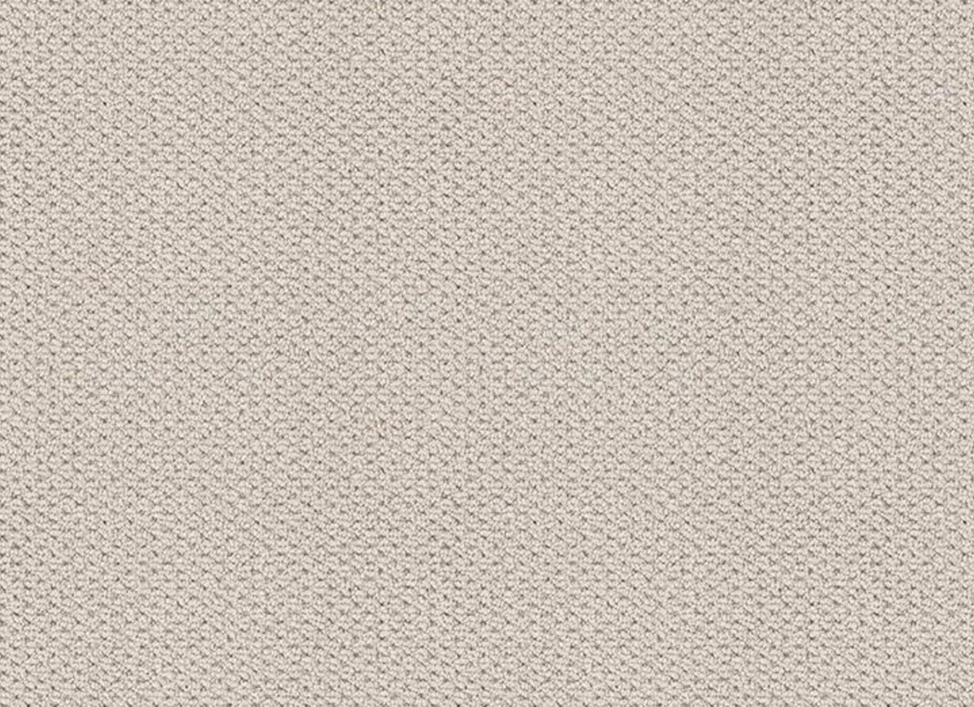MODERN GRACE in Gallery Opening Carpet