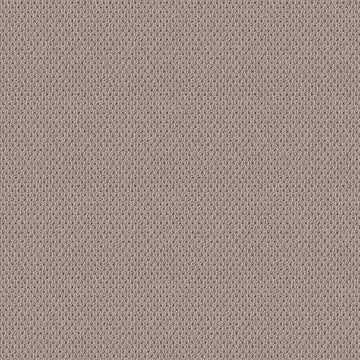 Baltic Stone